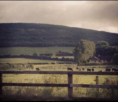 Bungalow Farmhouse * Freshford